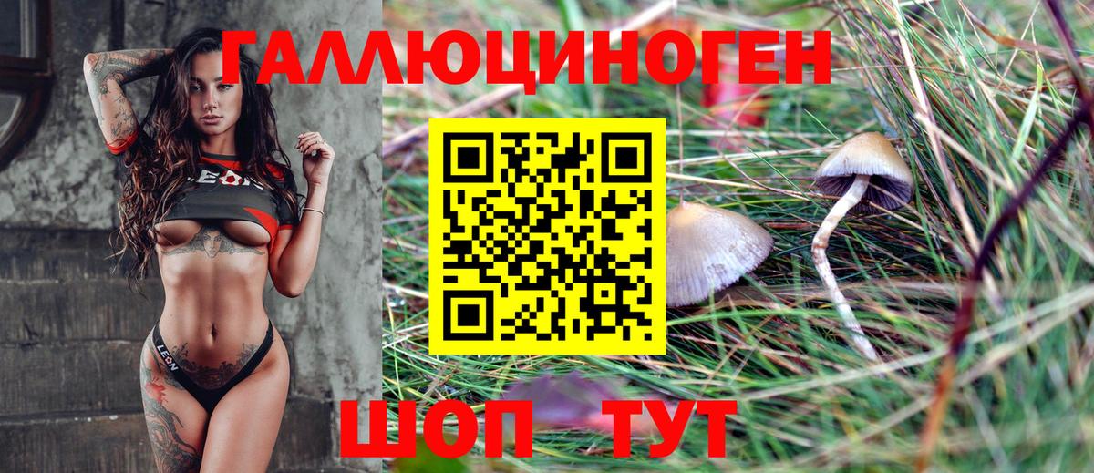 Псилоцибиновые грибы GOLDEN TEACHER  купить наркоту  Павловский Посад  Вход с VPN 
